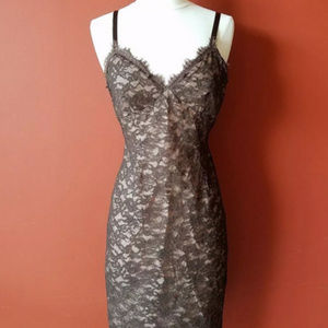 REBECCA TAYLOR Chocolate Lace Slip Dress in Size 2